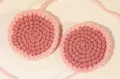 Blushing Bunny Amigurumi Pattern step 4