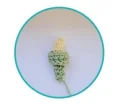 Lady Liberty Amigurumi Pattern step 4