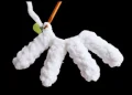 Copter-tailed Fox Amigurumi Pattern step 2