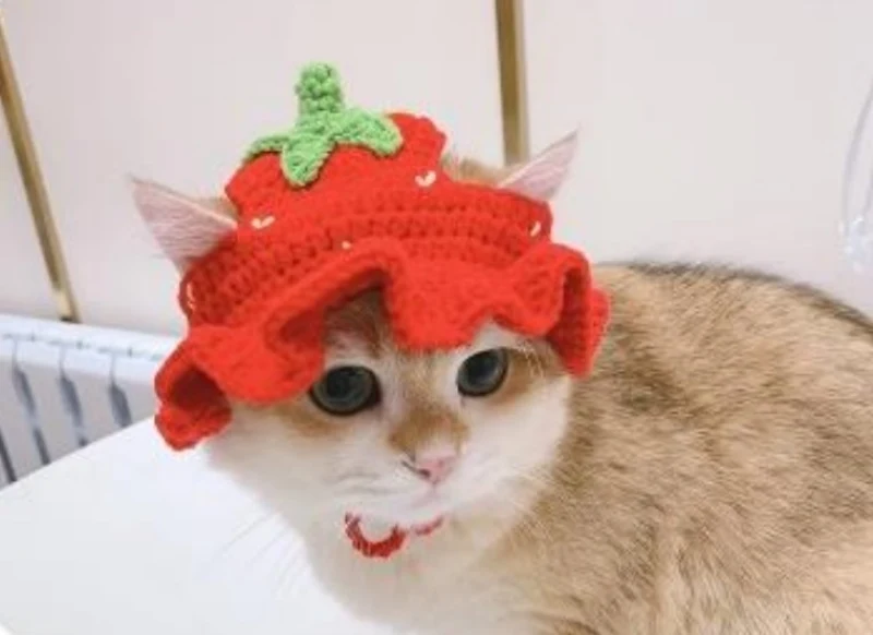 Complimentary Intermediate crochet pattern: Fruity Pet Sun Hat Amigurumi Pattern - Simple to follow guide