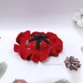 Fruity Pet Sun Hat Amigurumi Pattern step 4