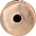 Giant Plush Donut Pillow Amigurumi Pattern step 3