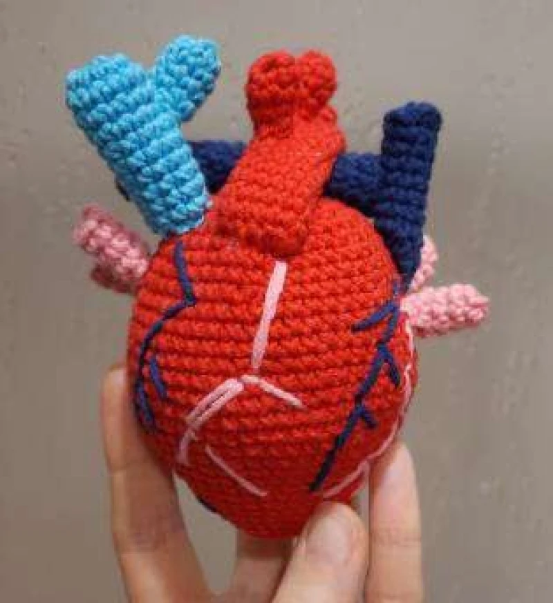 Complimentary Intermediate crochet pattern: Anatomical Heart Amigurumi Pattern - Simple to follow guide
