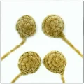 Plush Capybara Amigurumi Pattern step 2