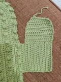 Desert Blossom Crochet Cactus Pillow Pattern step 2
