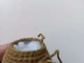 Baby Cthulhu Amigurumi Pattern step 4