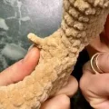 Plush Forest Deer Amigurumi Pattern step 4